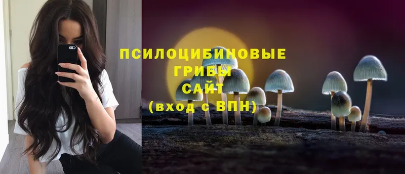 Галлюциногенные грибы Psilocybe  купить закладку  гидра как зайти  Струнино 